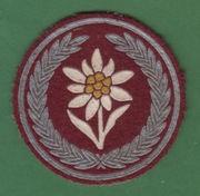 Naszywka wojskowa podhalańczyków 