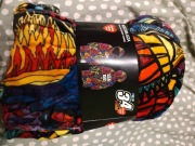 Kocobluza WOŚP 2026 34 finał 