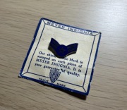 Przypinka - USAF - Airman First Class E-3 (Collar Device) A1C