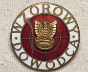 Odznaka Wzorowy Dowódca brąz