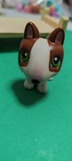 Littlest pet shop Bull terrier #154