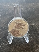 Srebrna moneta Fenrir 1oz
