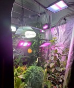 GROWBOX SZAFA DLA ROŚLIN