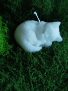 Piękna ręcznie robiona świeca sojowa 