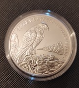 Sokół wędrowny 20 zł 2008, srebro, moneta srebrna