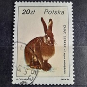 znaczek poczt. ZAJĄC SZARAK