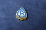 Ruch Chorzów 100 lat złota