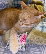 Poduszeczki z kocimiętką-zabawka dla kota