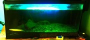 Akwarium 250l z filtrem i że życiem 