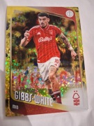 2025/26 Topps Ucc Gold Gibbs’s-white 150/299