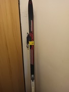 Biegówki, buty, narty, kije 