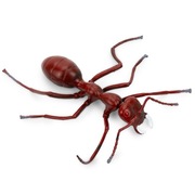 Realistyczna figurka owada zabawka edukacyjna elastyczna 12–20 cm kolekcja