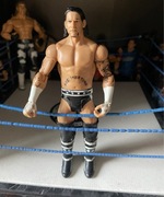 Super figurka WWE Mattel 2010 CM Pank