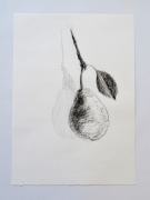 Martwa natura: Gruszka – Oryginalny Rysunek Grafitowy (A3)