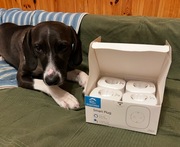 Smart Gniazdka WiFi EIGHTREE Alexa pomiar energii 16A 4 szt. jak nowe