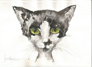 M KONCZALSKI obraz akryl tusz kred KOT bajka KOTEK