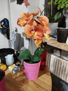 Sztuczna orchidea 58 cm w doniczce