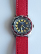  Zegarek TARNAN by AVIA Automatic