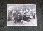 Portret grupowy gra w karty pies