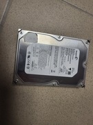 Dysk twardy SEGATE 3,5" 250Gb 