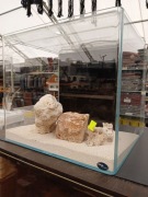 Akwarium Ocean Cube 50