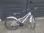 Rower Kross Lea 1.0 Junior 