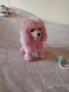 Piesek interaktywny.