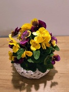 Stroik do domu lub na grób, kompozycja wiosenna , bratki . ST52