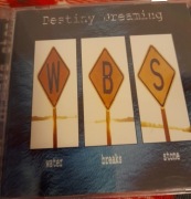 płyta CD Destiny Dreaming -Water Breaks Stone