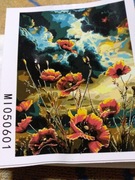 Malowanie po numerach 40x50 plus rama