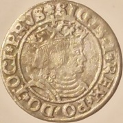 Grosz pruski Zygmunt I Stary 1531 - PRVS