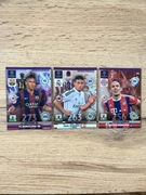 Karty piłkarskie panini