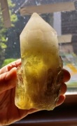 kwarc cytryn z fantomem kwarcu mlecznego otoczony mniejszymi cytrynami