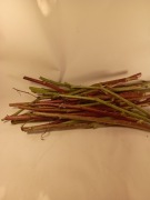 Pędy malin 1kg świeżo cięte 