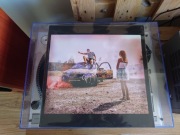 Sarius Antihype winyl 