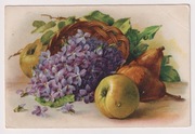 Fiołki Kwiaty Jabłka Gruszki 1909r Litografia Martwa Natura  z843