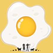 JAJKA 40 szt ** Wieśniaki z wyboru **