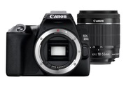 CANON EOS 250D + EF-S 18-55mm f/4-5.6 IS STM