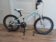 Rower Author koła 24