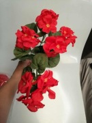 Realistyczne jedwabne sztuczne Pelargonie odporne na uv
