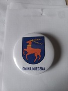 Herb gmina Miedzna przypinka pin odznaka wpinka button