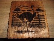 obrazek wypalony w drewnie, Struś, Fajne na prezent