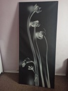 Obraz- druk na płótnie 