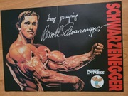 Plakat Arnold Schwarzenegger 