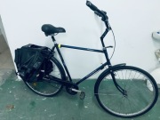 Rower holenderski Gazelle