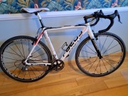 Rower szosowy endurance karbon Focus, Camp. Chorus, Mavic Ksyrium Elite