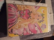 Karteczka do segregatora duża 