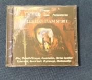 Various–Smells Like Team Spirit. CD