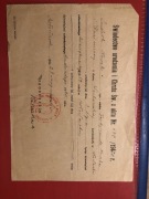 Świadectwo urodzenia i chrztu 1920/1946