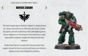 Warhammer 40k Space Marine Heroes Dark Angels (series 6) brother Zeradim
